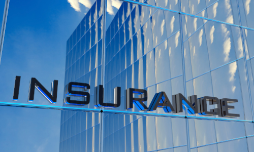 Foundation Course in Risk Management and Insurance