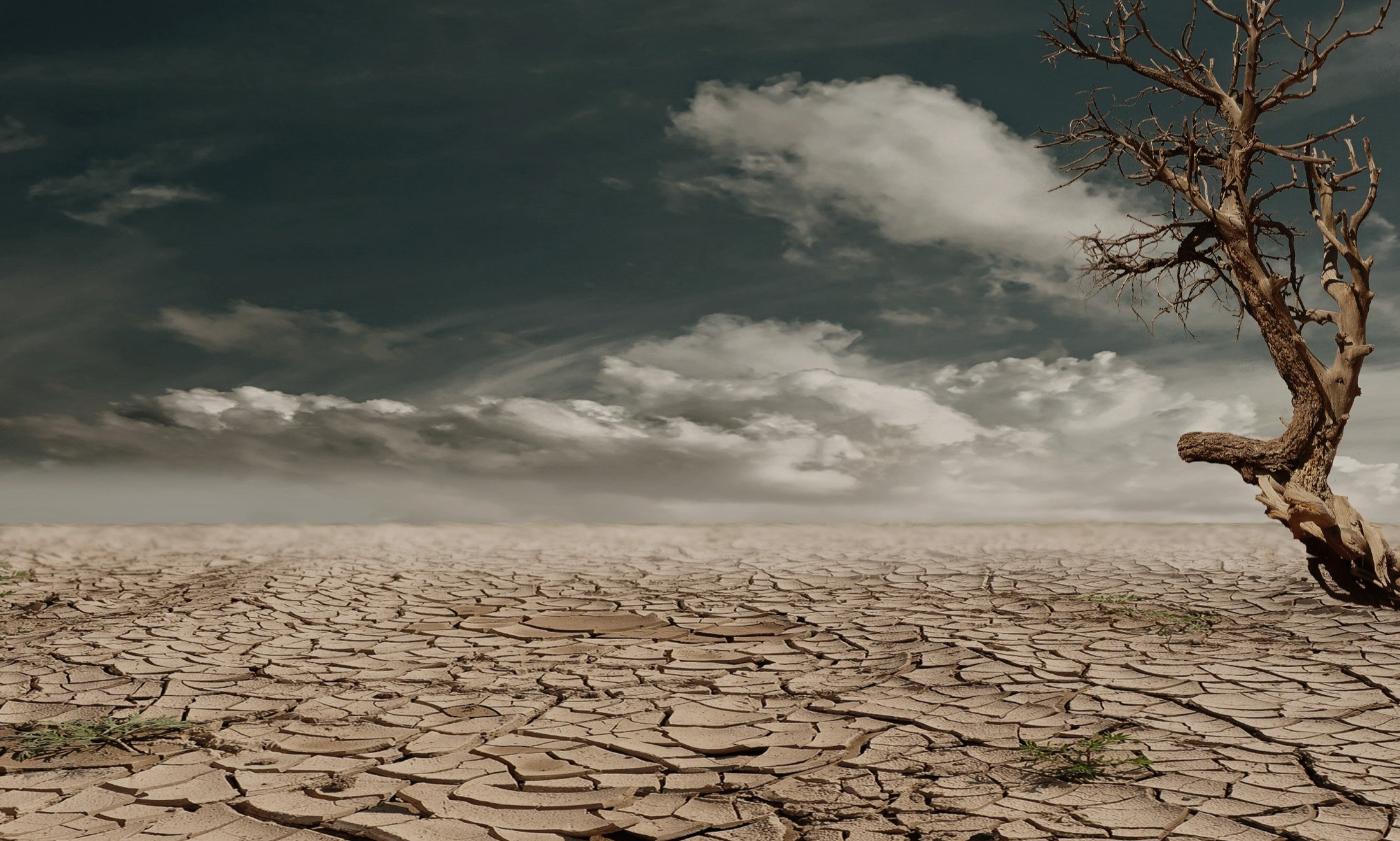 Certified Expert in Climate Adaptation Finance