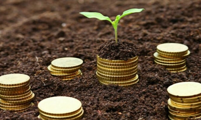 Certified Expert in Microfinance