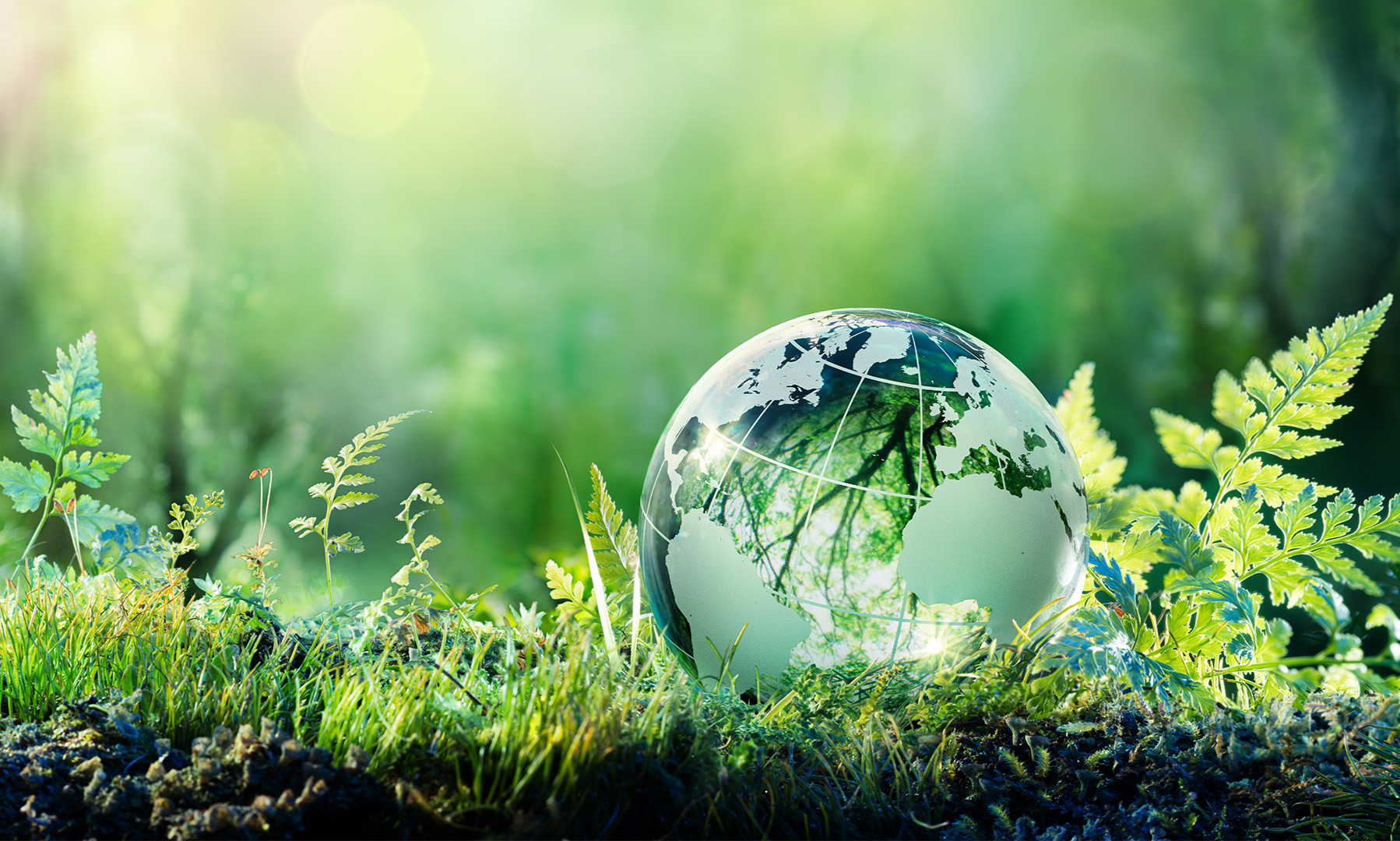 Certified Expert in Sustainable Finance